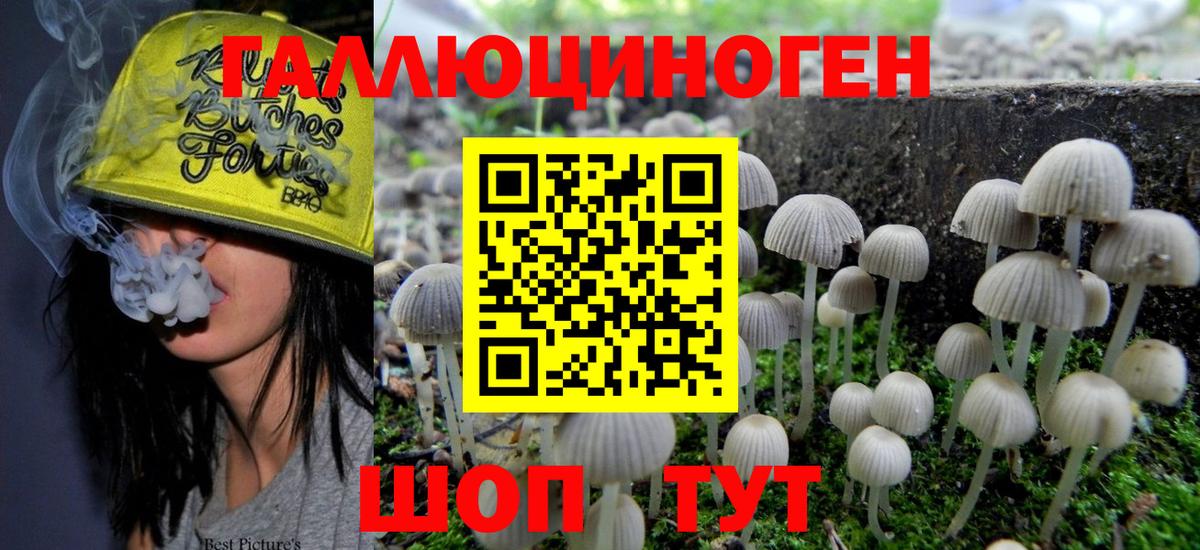 Галлюциногенные грибы GOLDEN TEACHER Унеча